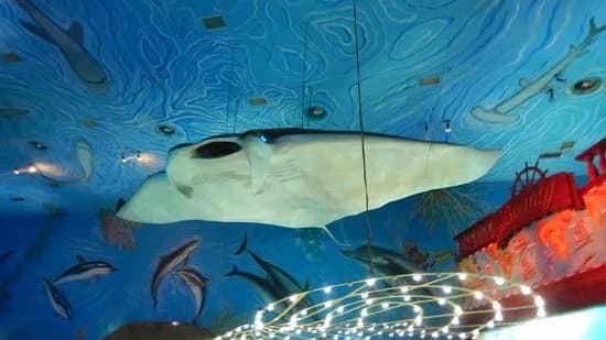 Sea World (Morsky SvEt)