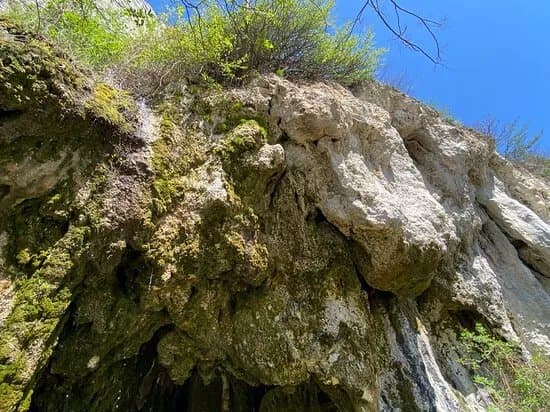 "gaura Cu Musca" Cave.
