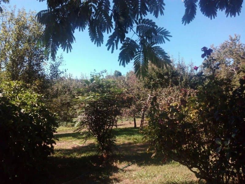 Casa Suarez Turismo Rural
