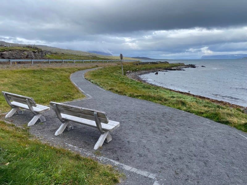 Seal Lookout