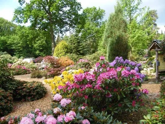 Parks & Nature