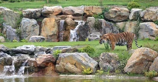 Zoo de Champrepus