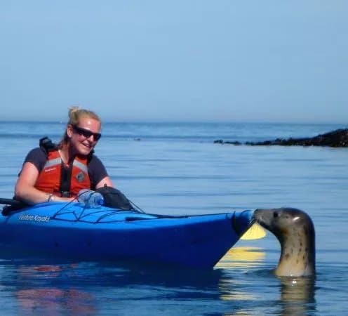 Sea Kayak Devon
