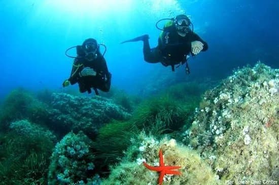 Mar Balear Dive Center