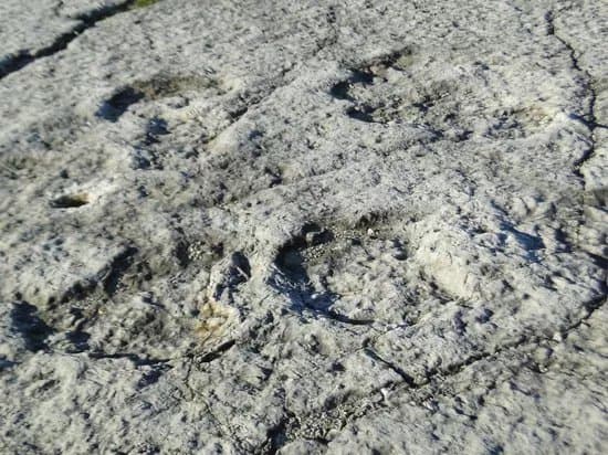Natural Monument of the Dinosaur Footprints