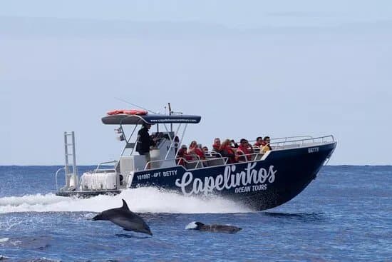 Capelinhos Ocean Tours