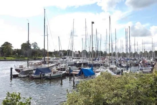 Pekelharinghaven