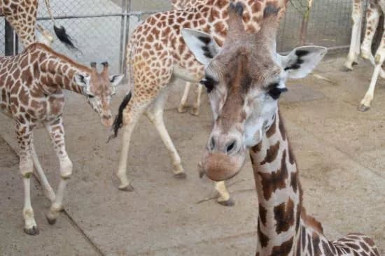 Zoo Olomouc