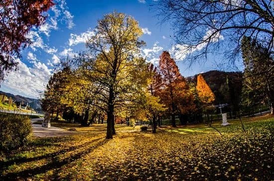 Zdraviliski Park