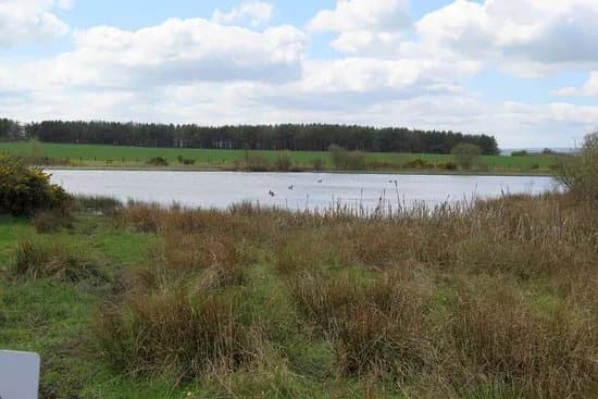 Chapman's Well Local Nature Reserve
