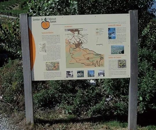 Sentier de l'abricot