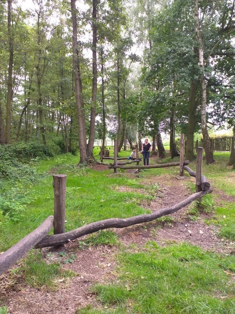 Juffertje in’t Groen