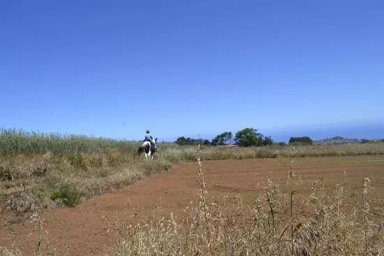 Horszen - Alquileres de caballos y rutas por el monte