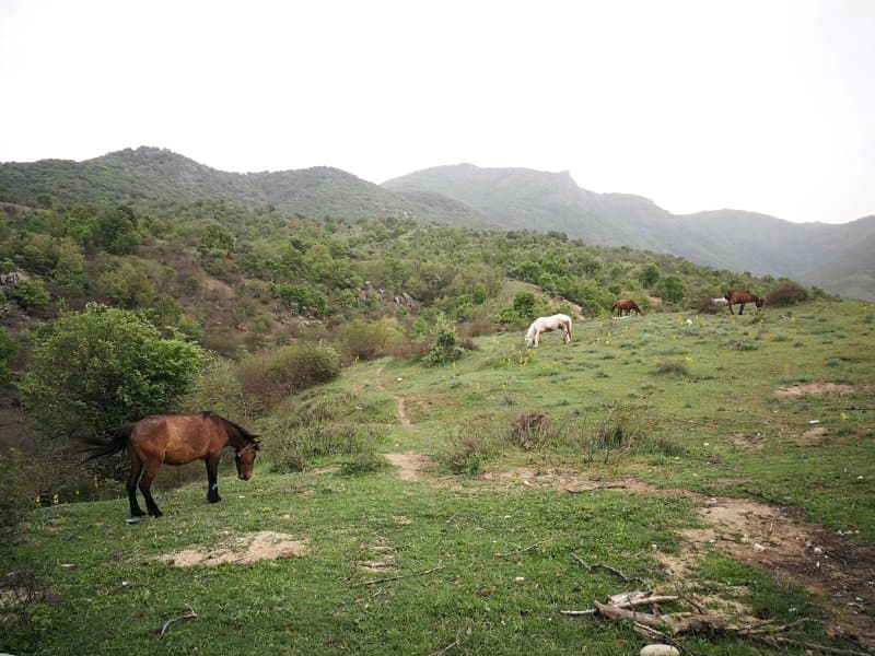Rancho i Vancho na Kata