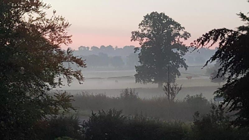 Beechmount Farm