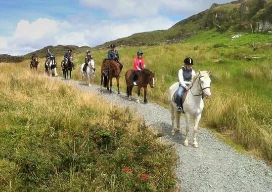 Bantry Bay Pony Trekking