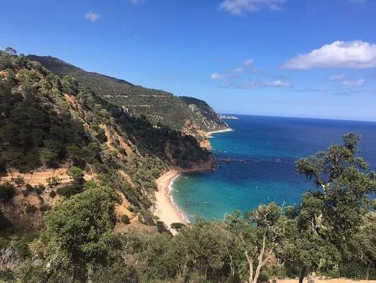 Cala del Senyor Ramon