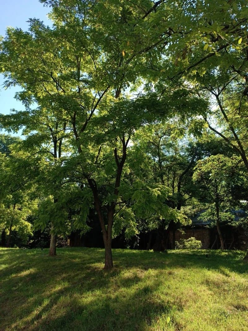 Park Kleparski