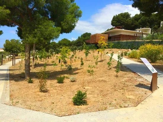 Jardin Botanico Detunda Cueva De Nerja