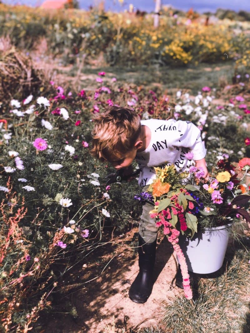 Fien Fleur