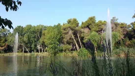 Pineta Dannunziana