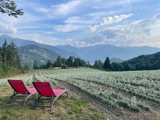 Aux Bains Des Alpes