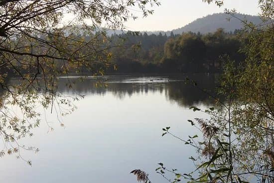 Koseze Pond
