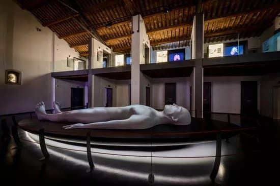 MUSME - Museo di Storia della Medicina in Padova