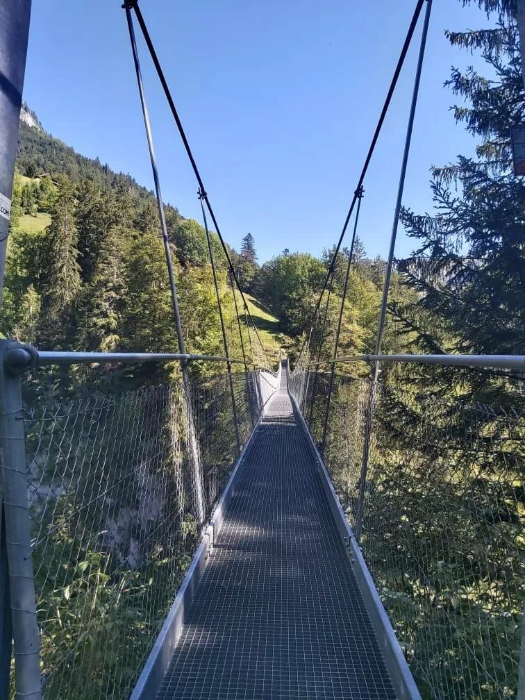 Hangebrucke Leiternweide