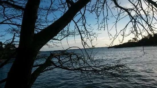 Fevik via Hasseltangen