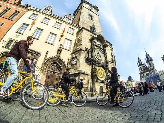 Yellow Zebra Segways & Bikes