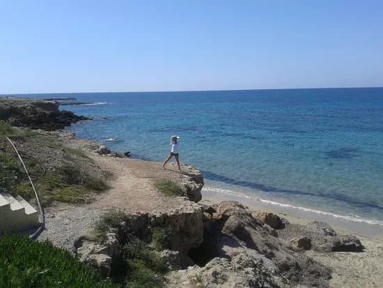 SODAP Beach