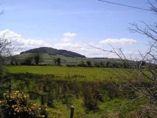 Tory Hill Mullinavat