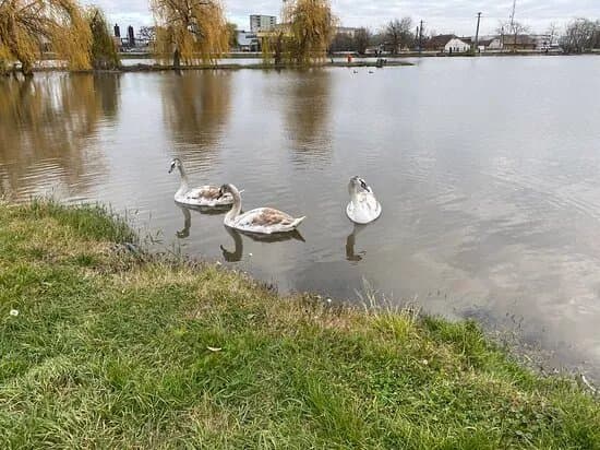 "buciuman" Fishing Lake.