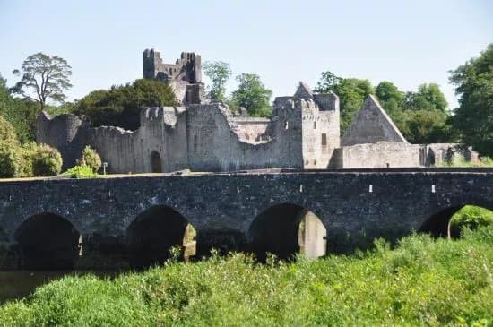 Desmond Castle