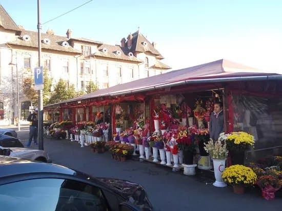 Cibin Market