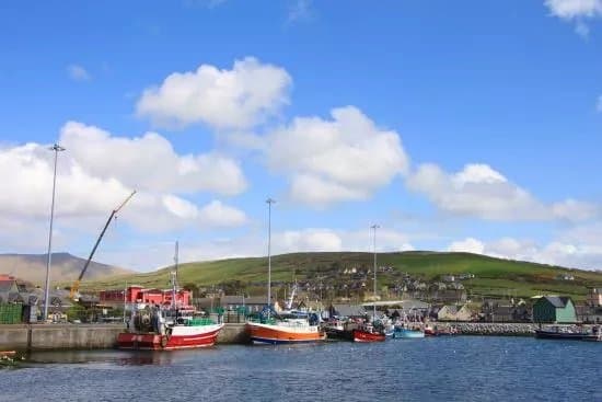 Dingle Marina