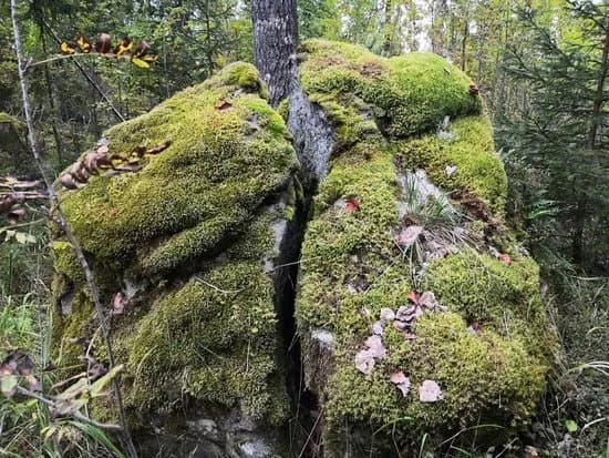 Paijalan Linnavuori
