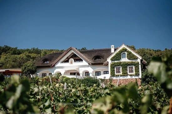 St. Donat Organic Winery