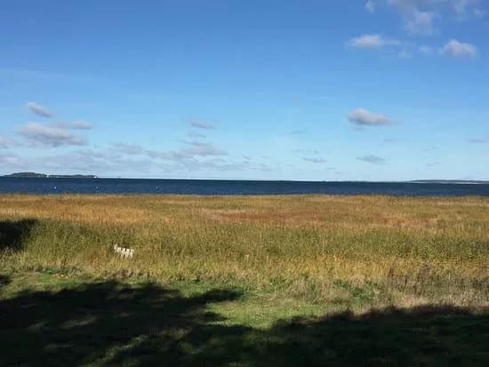 Skanse I Ornehoved Skov V/ Stigsnaes