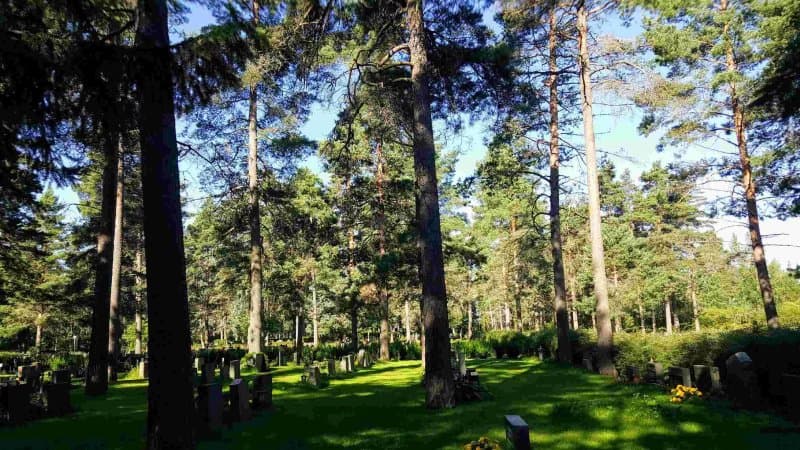 Honkanummi Cemetery