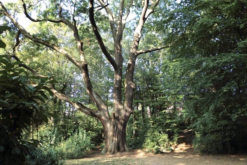 Parc Jacques Brel