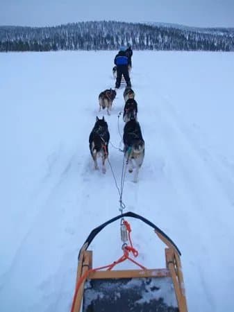 Kamisak Husky and Horse Expeditions - Day Tours