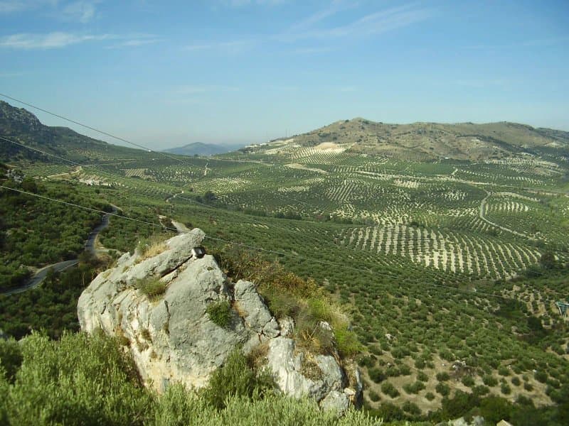 Casa De Vides