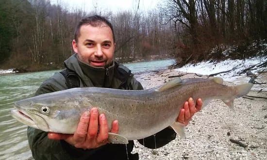 Extreme Angler - Sportni ribic