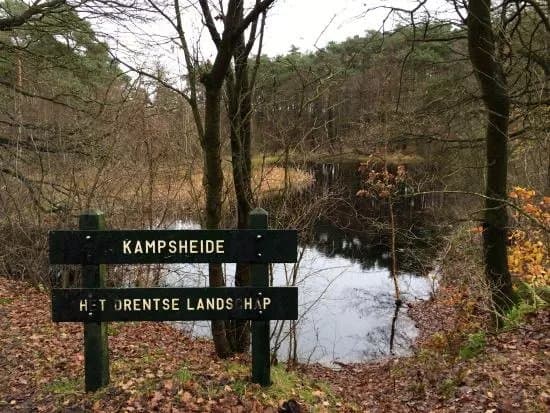 Kampsheide