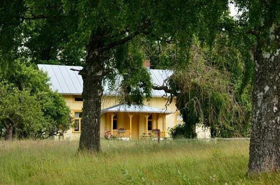 Hogsbyns Hallristningar