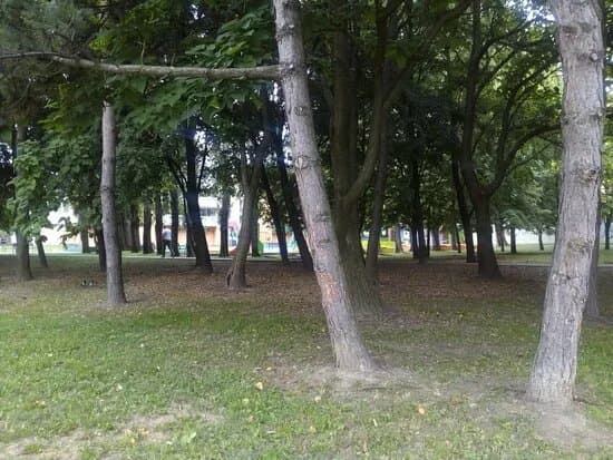 Park Druzby