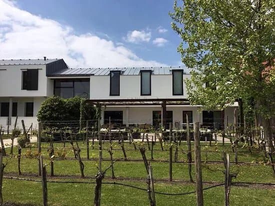 Weingut Kracher