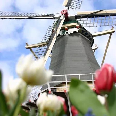 Holland Day Tours